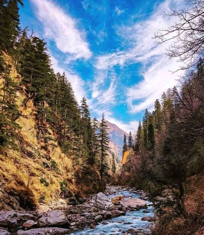 Himalayan Trekking Experience